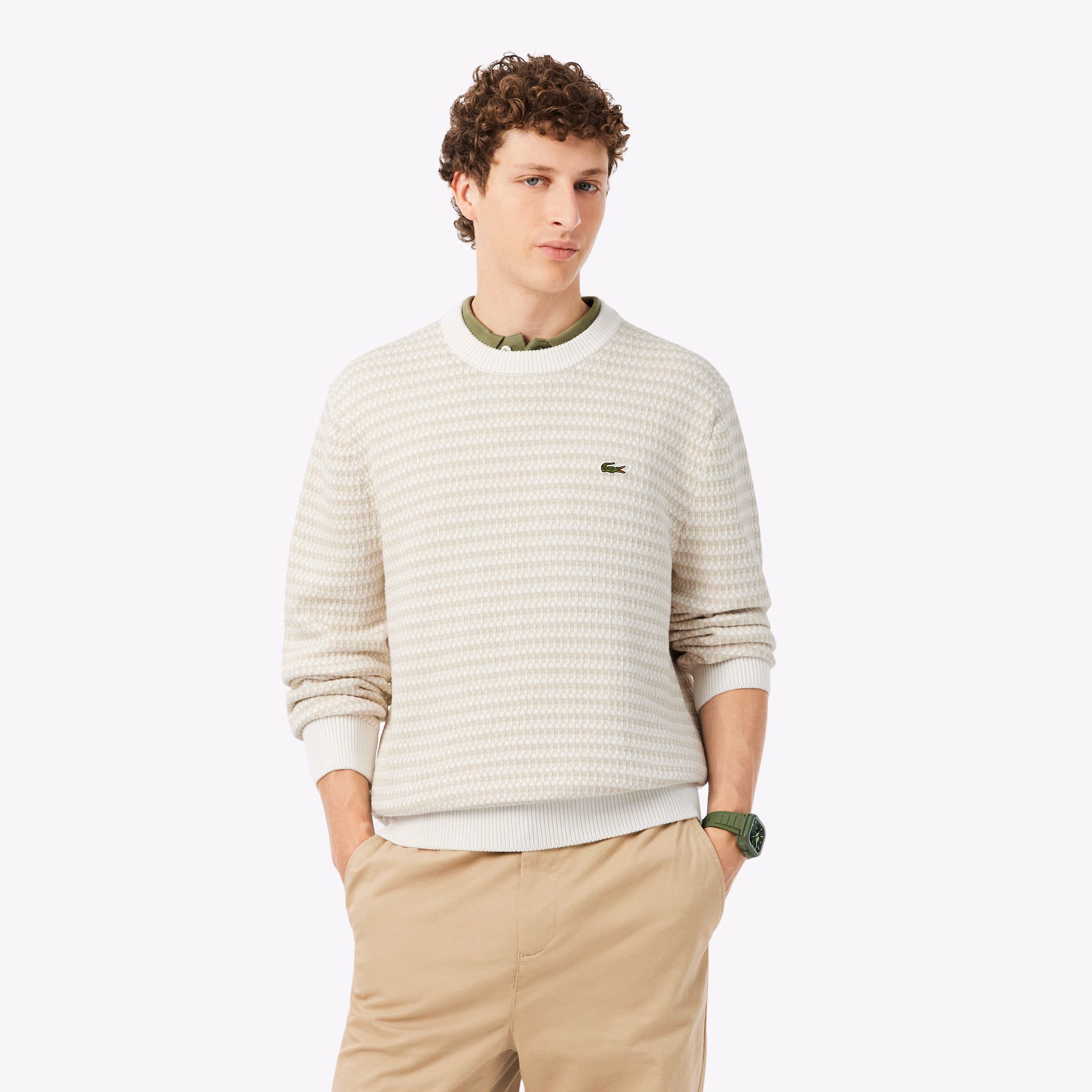 Maglione Jacquard in Cotone Lacoste AH8569-WL6